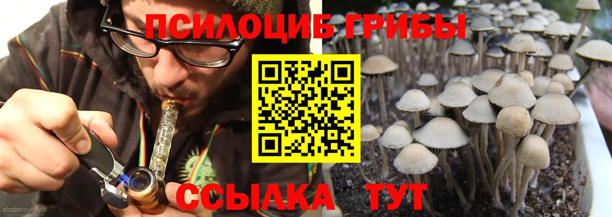 Псилоцибиновые грибы Magic Shrooms  Галлюциногенные грибы GOLDEN TEACHER  Саратов  Вход с VPN 