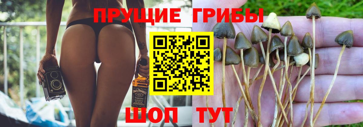 Псилоцибиновые грибы MAGIC MUSHROOMS Саратов
